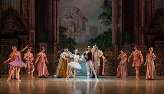 Балет «Спящая красавица», Апатиты