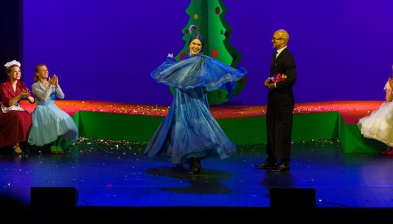 Мюзикл «Карнавальная ночь»