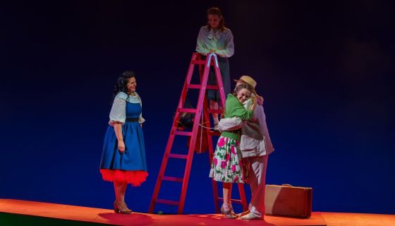 Мюзикл «Карнавальная ночь», Апатиты