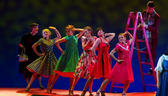 Мюзикл «Карнавальная ночь», Апатиты