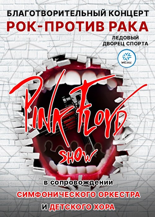 PINK FLOYD SHOW