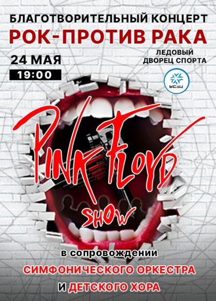 Концерт «PINK FLOYD SHOW»