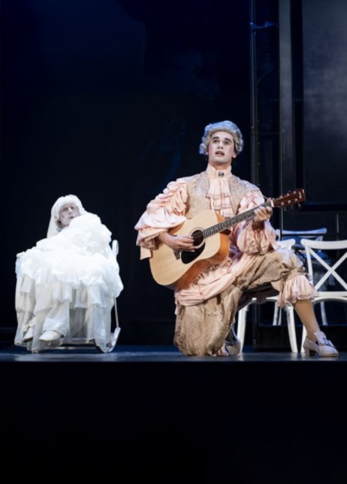 Спектакль «Мнимый больной»